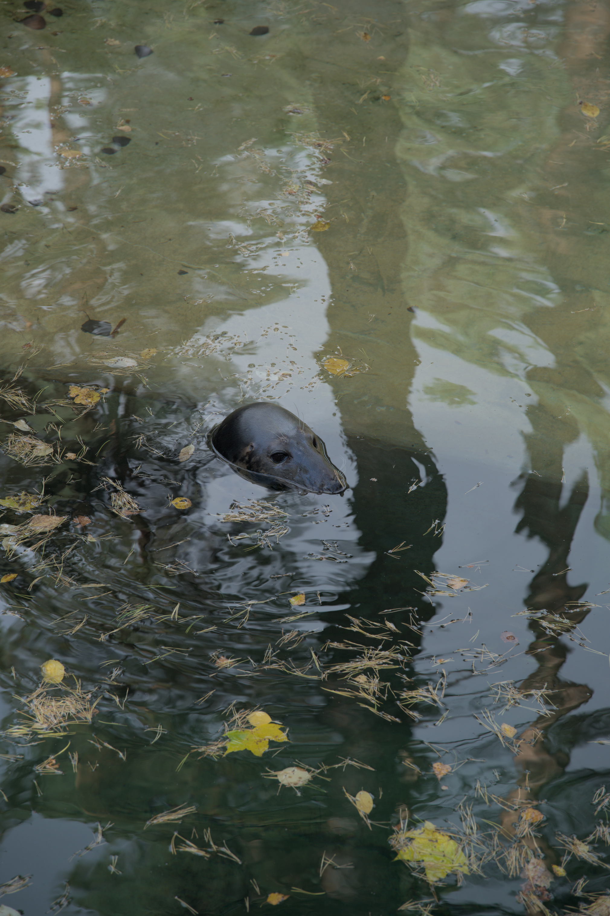 2025/10/12 - zoo/DSC_0003.jpg